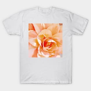 Sunny Floral Macro T-Shirt